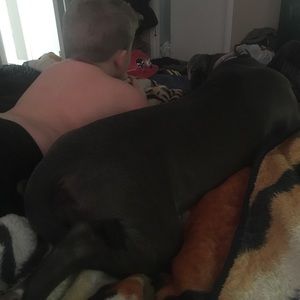 Meet your Posher, Pettra